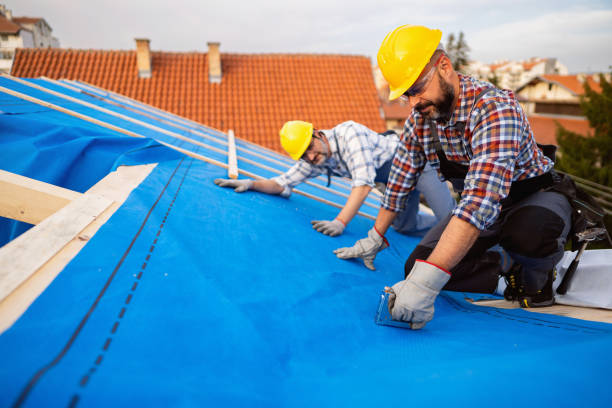 Best Roof Moss and Algae Removal  in Camden, OH